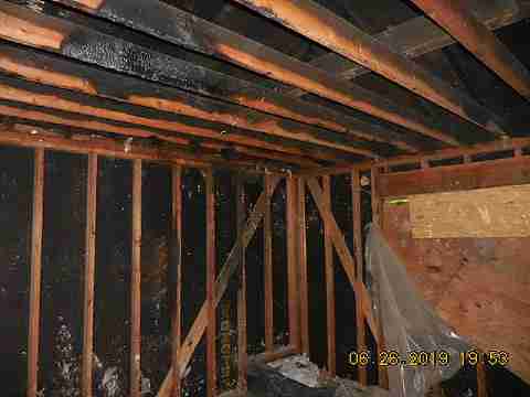 14251 Coyle (22)_m.jpg